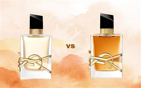 valentino vs ysl perfume|valentino vs ysl libre.